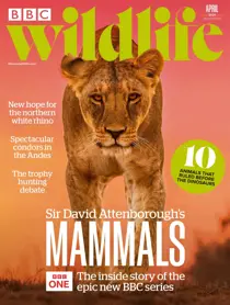 BBC Wildlife Magazine Complete Your Collection Cover 1