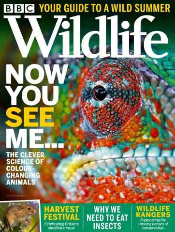 BBC Wildlife Magazine Preview