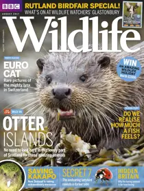 August 2017 
                issue August 2017