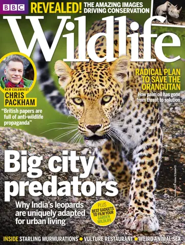 BBC Wildlife Magazine Preview