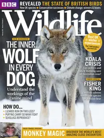 February 2014 
                issue February 2014