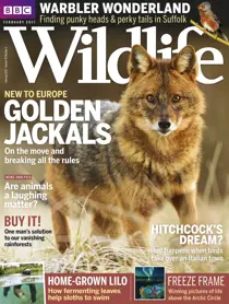 February 2017 
                issue February 2017