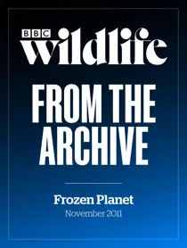 Frozen Planet Special  
                issue Frozen Planet Special 