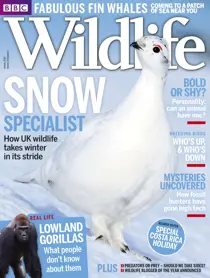 January 2016 
                issue January 2016