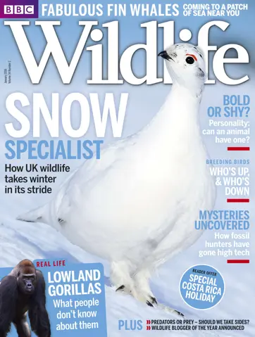 BBC Wildlife Magazine Preview