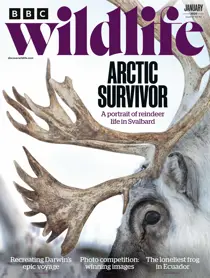 BBC Wildlife Magazine January 2024