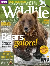 July 2017 
                issue July 2017