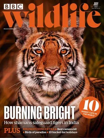 BBC Wildlife Magazine Preview