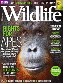 June 2015 
                issue June 2015
