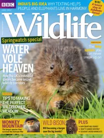 June 2017 
                issue June 2017