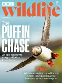 BBC Wildlife Magazine Complete Your Collection Cover 1