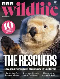 May 2025 
                issue May 2025