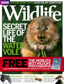 November 2012 
                issue November 2012