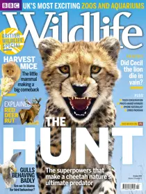 October 2015 
                issue October 2015