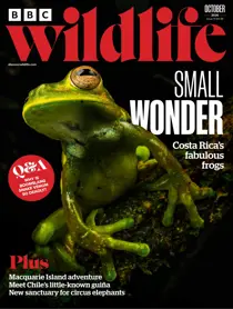 BBC Wildlife Magazine issue BBC Wildlife Magazine