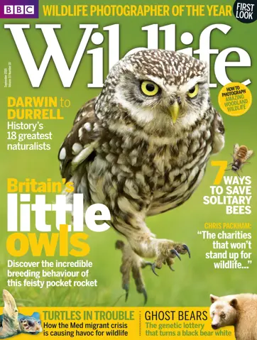 BBC Wildlife Magazine Preview