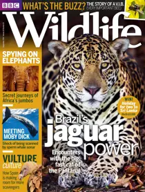 September 2016 
                issue September 2016