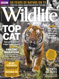September 2017 
                issue September 2017