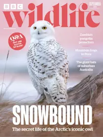 September 2026 
                issue September 2026