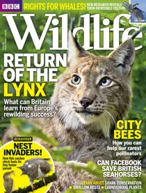 Spring 2015 
                issue Spring 2015