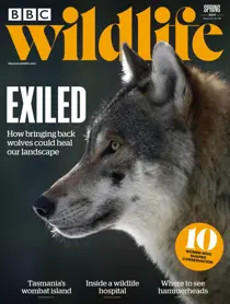 BBC Wildlife Magazine Complete Your Collection Cover 2