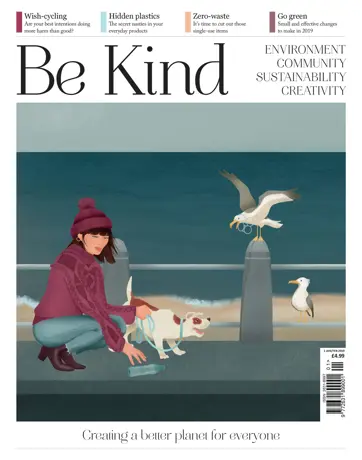 Be Kind Preview