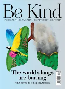 November 2019 
                issue November 2019