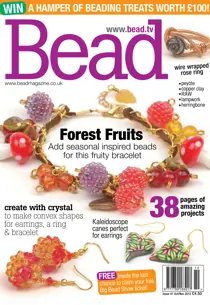 Bead Issue 41 
                issue Bead Issue 41