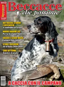 06 novembre/dicembre 
                issue 06 novembre/dicembre