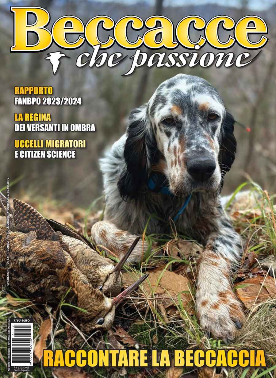 BECCACCE CHE PASSIONE issue apr/mag/giu 26