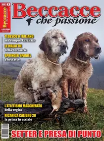 gennaio/febbraio 2021 
                issue gennaio/febbraio 2021