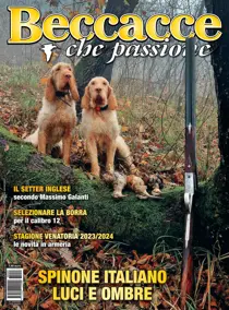 Lug/Ago/Set 2023 
                issue Lug/Ago/Set 2023