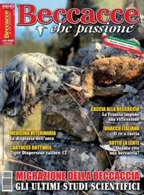 N. 03/2020 Maggio-Giugno 
                issue N. 03/2020 Maggio-Giugno