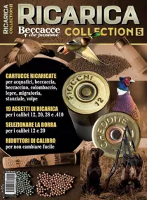 RICARICA COLLECTION 5 
                issue RICARICA COLLECTION 5
