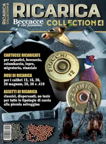 SPECIALE RICARICA COLLECTION 4 
                issue SPECIALE RICARICA COLLECTION 4
