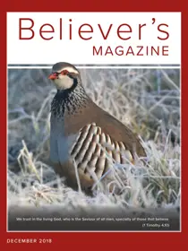 December 2018 
                issue December 2018