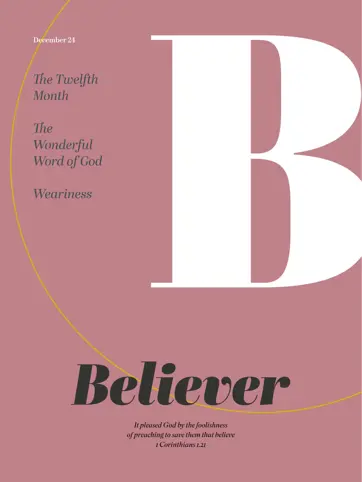 Believer Magazine Preview