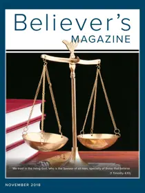 November 2018 
                issue November 2018