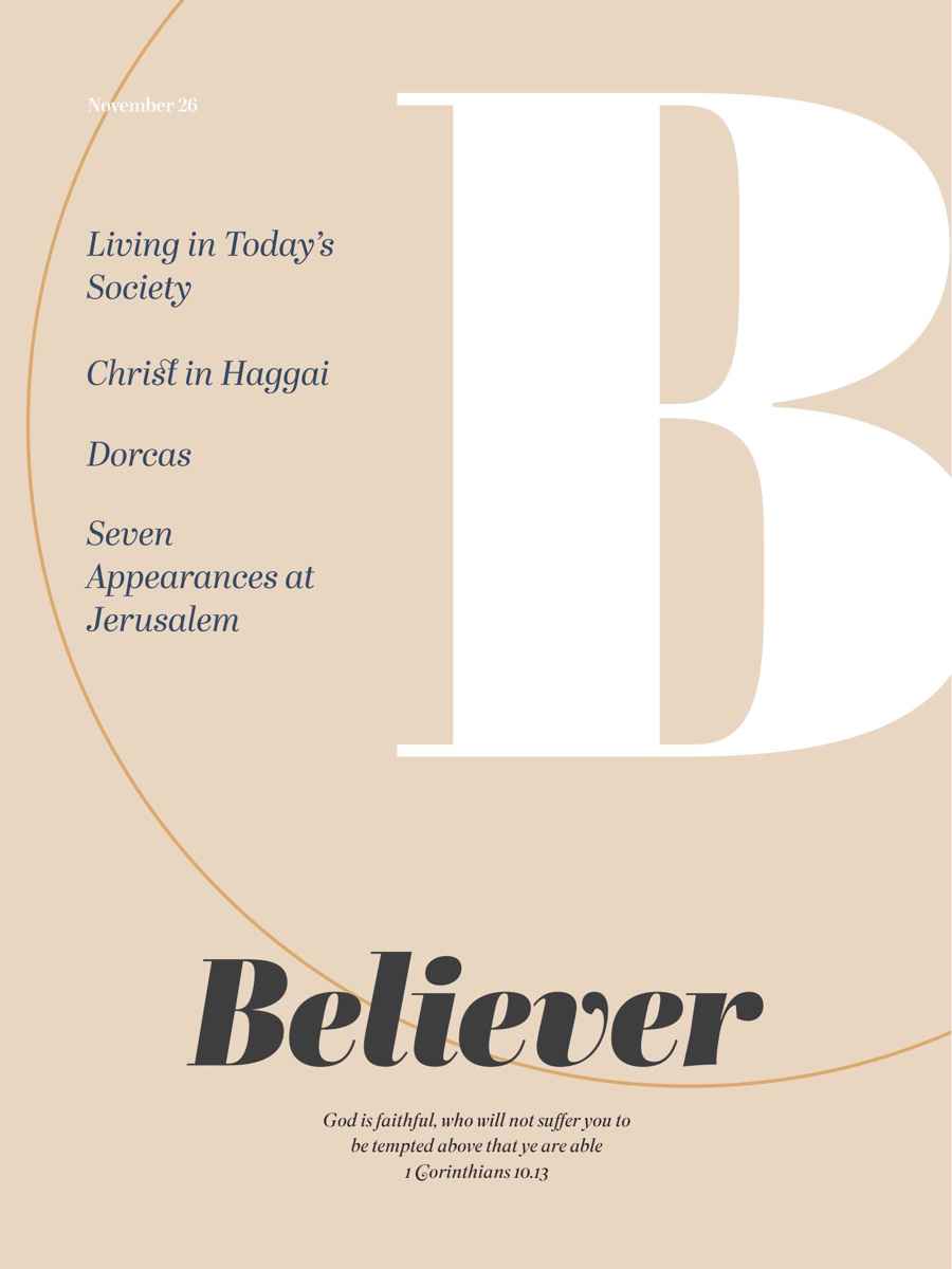 Believer Magazine issue November 2026
