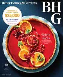 November 2022 
                issue November 2022