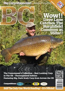 Big Carp 217 
                issue Big Carp 217