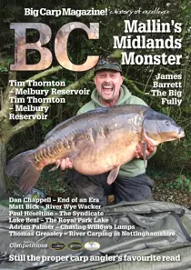 Big Carp 304 
                issue Big Carp 304