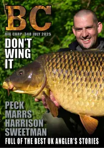 Big Carp 348 
                issue Big Carp 348