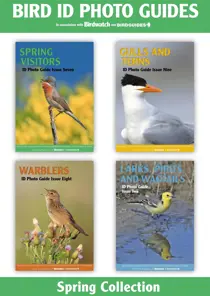 Bird ID Photo Guides The Spring Collection | 4 issues | 1 price