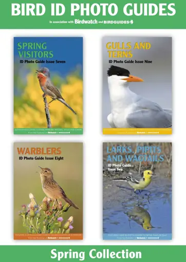 Bird ID Photo Guides Preview