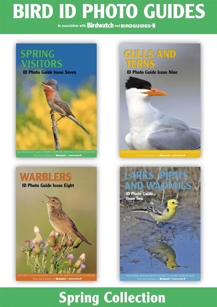 Bird ID Photo Guides issue The Spring Collection | 4 issues | 1 price