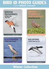 Bird ID Photo Guides The Winter Collection | 4 issues | 1 price