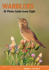 Bird ID Photo Guides Warblers