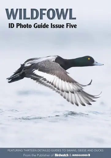 Bird ID Photo Guides Preview