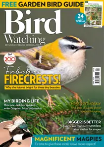 April 2021 
                issue April 2021